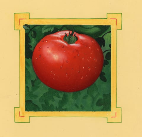 Tomato A 3