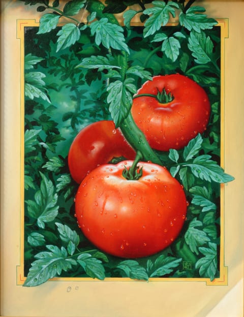 Tomatoes on a vine A 3