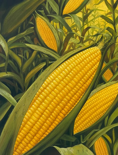 Corn A 4