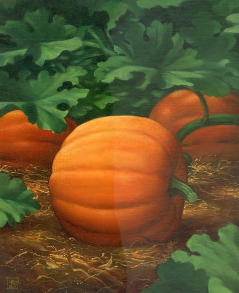 Pumpkin A 4