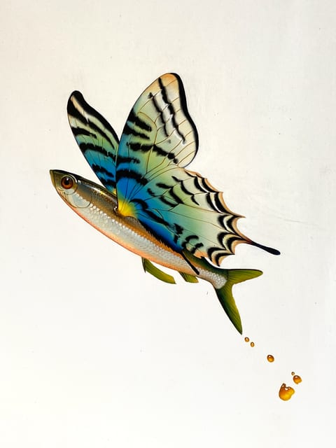 Flying Fish A 2