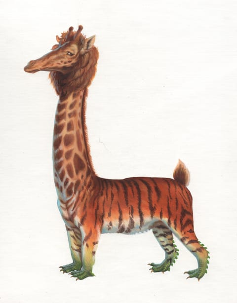 Giraffe Tiger Lion Dragon A 2