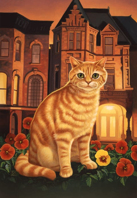 The Cat Who Couldn't See in the Dark