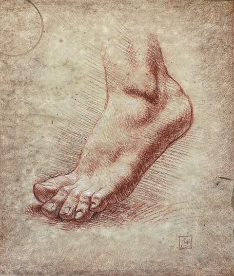 Foot Study