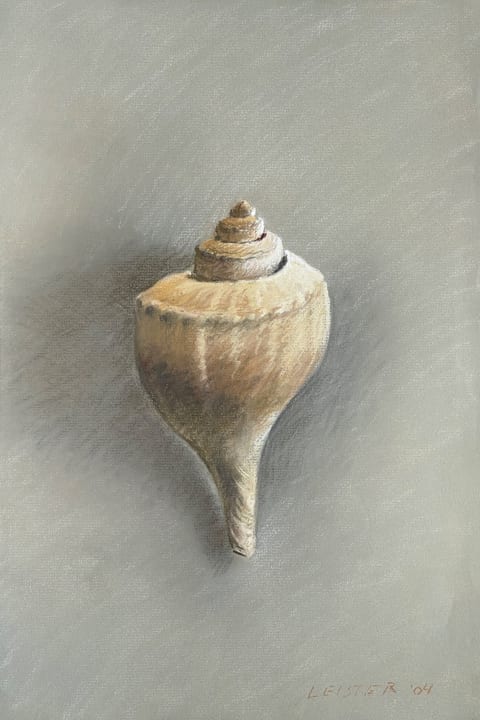 Shell