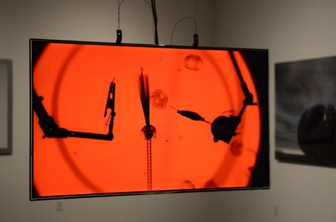 uncategorized monitor