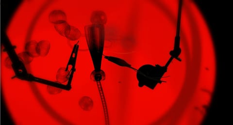 uncategorized screenshot 1