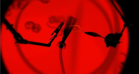 uncategorized screenshot 2