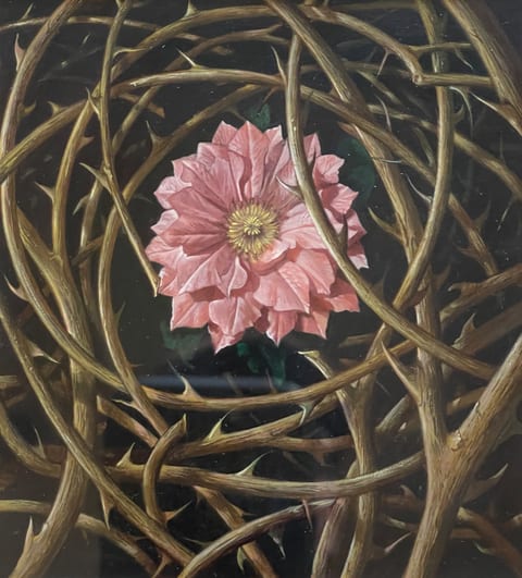 A Rose Amongst Thorns