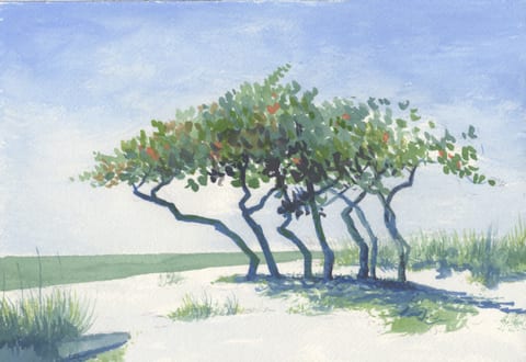 Domincan Republic A 6